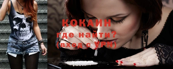 гашик Ельня