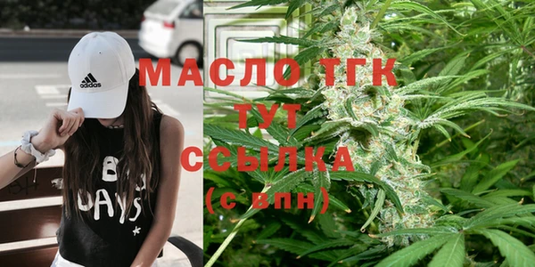 индика Заволжье