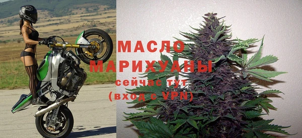 гашик Ельня
