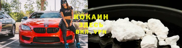 гашик Ельня