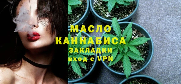 индика Заволжье