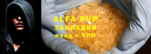 гашик Ельня
