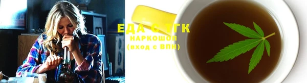 гашик Ельня