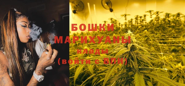 гашик Ельня