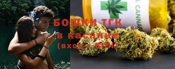 индика Заволжье