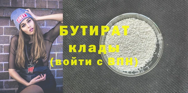 гашик Ельня