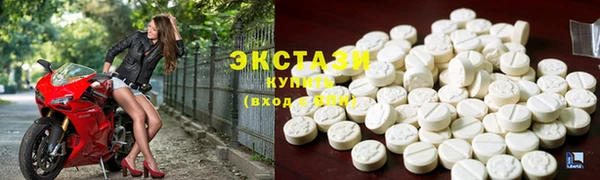 гашик Ельня