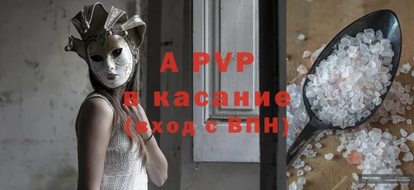 гашик Ельня