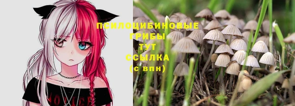 марихуана Елизово