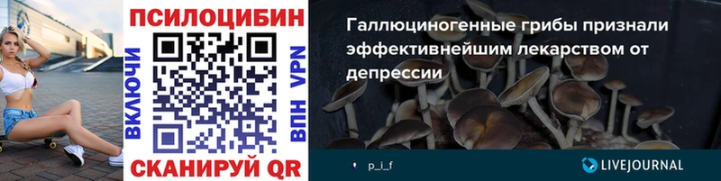 купить  сайты  Кингисепп  Галлюциногенные грибы ЛСД 
